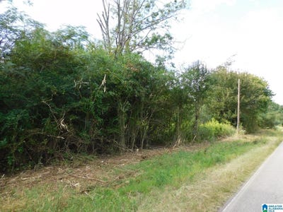 /international/us/1389-1409-creswell-road-lot-0-harpersville-al-110107750935/