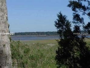 /international/us/5-woodstork-watch-okatie-sc-110103720128/