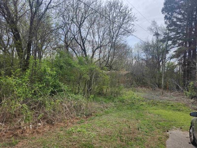 /international/us/410-brown-rd-lot-19-drummonds-tn-110106239631/