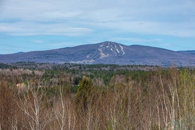 /international/us/59-garden-loop-road-winhall-vt-110107613097/