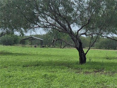 /international/us/19719-los-venados-drive-edinburg-tx-110095677060/