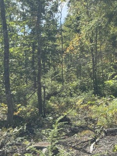 /international/us/old-waterford-road-lot-31-i-lovell-me-110110348714/