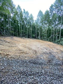 /international/us/rolling-hills-lane-dunlap-tn-110120635297/