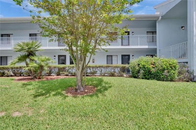 /international/us/313-martha-lane-oldsmar-fl-110097853323/