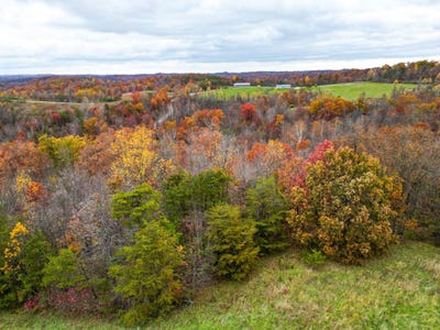 /international/us/4754-county-road-36-chesapeake-oh-110103481557/