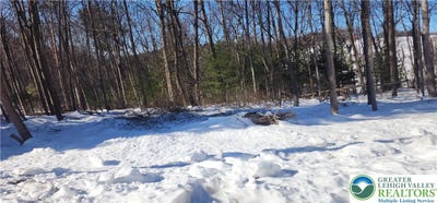 /international/us/2199-cherry-hill-road-parryville-boro-pa-110105323626/