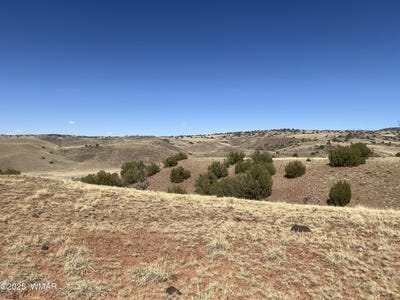 /international/us/tbd-county-road-n5335-concho-az-110099769890/