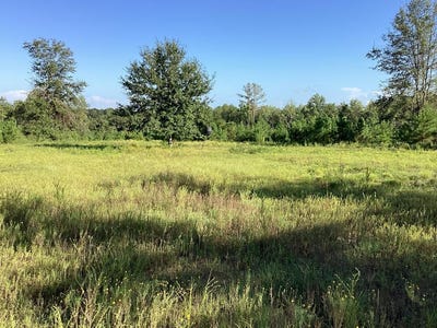 /international/us/500-pond-creek-rd-luverne-al-110084574942/