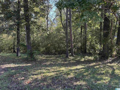 /international/us/2175-creekview-lane-lot-52-irondale-al-110120616209/