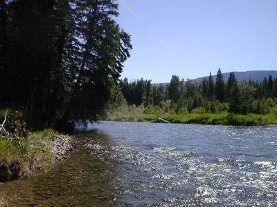 /international/us/nhn-old-mill-road-bigfork-mt-110092168483/?lang=it