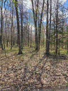 /international/us/17-short-cut-rd-herbster-wi-110108168325/