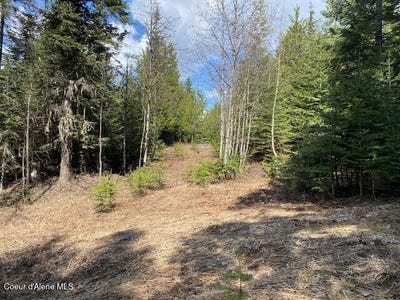 /international/us/nna-upper-gold-crk-rd-sandpoint-id-110108641026/