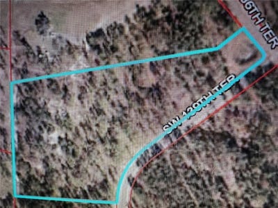 /international/us/00-se-139th-lot-29-terrace-morriston-fl-110089983071/