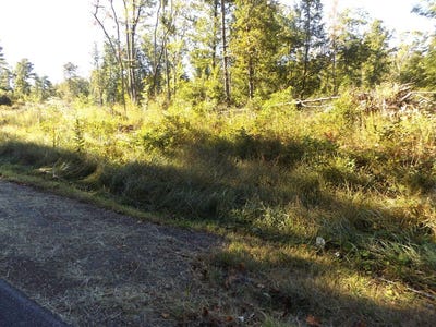 /international/us/deer-ridge-rd-lot-4-hillsville-va-110110362678/