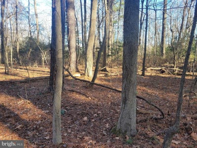 /international/us/lot-13-holiday-lane-hague-va-110097308952/