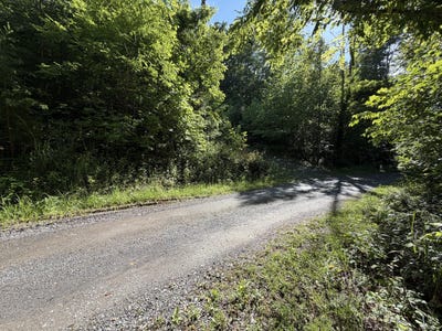 /international/us/lake-rd-troutville-va-110108335449/