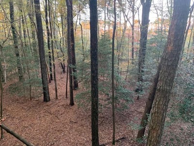 /international/us/11-770-daugherty-rd-onancock-va-110108199582/