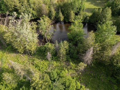 /international/us/parcel-b-w-638-highway-onaway-mi-110100355500/