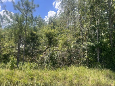 /international/us/gilchrist-road-edgefield-sc-110101190732/