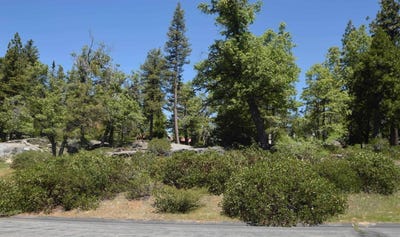 /international/us/43006-garnet-lane-shaver-lake-ca-110105267130/