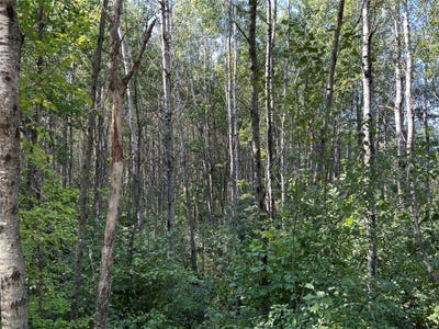 /international/us/near-town-line-road-bennett-wi-110119753724/