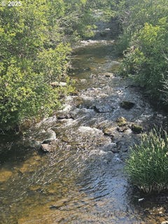 /international/us/olson-rd-centerville-wa-110100569001/?lang=zh-tw
