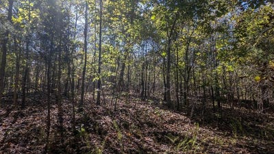 /international/us/wetumka-drive-cherokee-village-ar-110108016059/