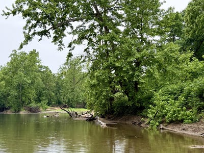 /international/us/sand-shoals-road-houston-mo-110108451447/