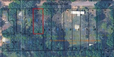 /international/us/8-lot-e-purvis-geneva-al-110119710808/