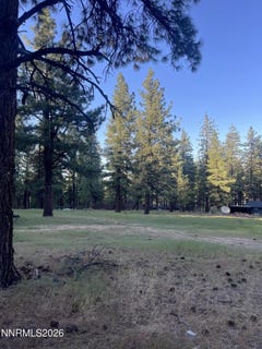 /international/us/4300-meadow-wood-road-carson-city-nv-110108358613/