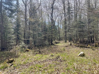 /international/us/peene-hill-road-westmore-vt-110101193415/