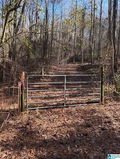 /international/us/821-sunshine-avenue-lot-0-oneonta-al-110120497413/