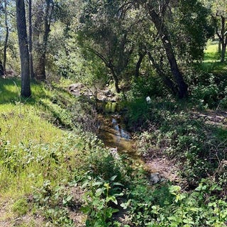 /international/us/0-av-ranch-road-unknown-ca-110106804096/