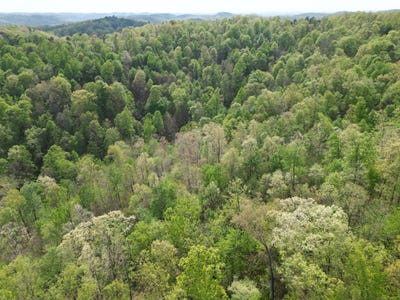 /international/us/000-sugar-camp-road-big-bend-wv-110107666259/