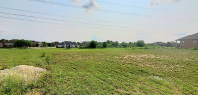 /international/us/20008-aine-drive-frankfort-il-110099300906/