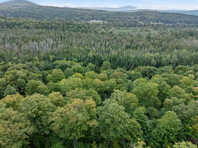 /international/us/wood-yard-crossing-lot-7-pittsburg-nh-110120552527/