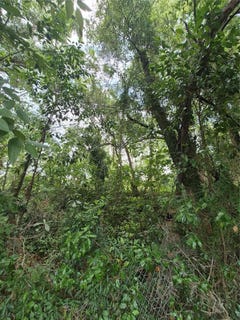 /international/us/8748-ne-jacksonville-road-anthony-fl-110108298103/