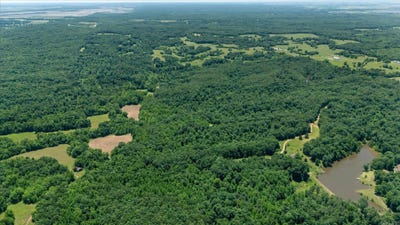 /international/us/29-acres-county-road-303-cherry-valley-ar-110099855450/?lang=en