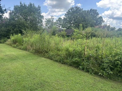 /international/us/459-s-walnut-street-whitwell-tn-110101179395/?lang=zh-cn