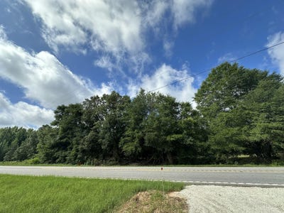 /international/us/lot-e-s-ga-highway-23-waynesboro-ga-110100562727/?lang=zh-cn