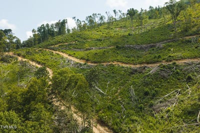 /international/us/snake-hollow-road-sneedville-tn-110120150975/