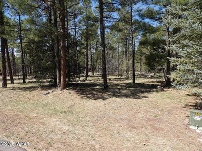 /international/us/922-pine-creek-drive-lakeside-az-110100882554/