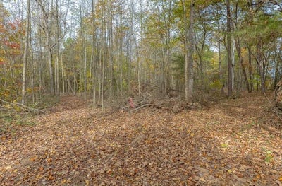 /international/us/tract-2-old-dalton-cleveland-hwy-lot-10-cohutta-ga-110095716684/