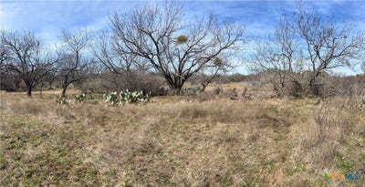 /international/us/1349-county-road-152-brownwood-tx-110105845000/