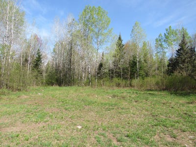 /international/us/tbd-us-141-road-lukes-road-amasa-mi-110101852050/