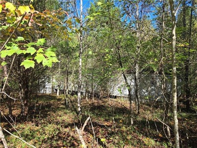 /international/us/1021-sweetbriar-lane-hamptonville-nc-110120516423/