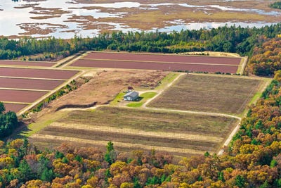 /international/us/n4085-cranberry-road-warrens-wi-110103366986/
