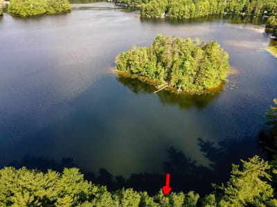 /international/us/n8481-bog-lake-rd-gleason-wi-110101094348/