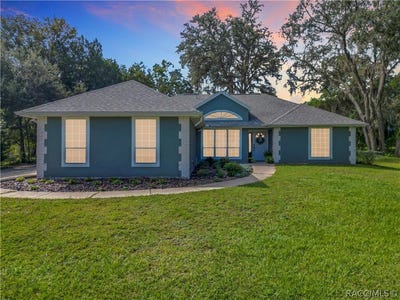 /international/us/390-w-olympia-street-hernando-fl-110108193014/
