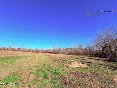 /international/us/40-clarence-bullock-road-tylertown-ms-110104970549/